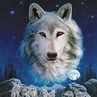 Lonely-wolf Avatar