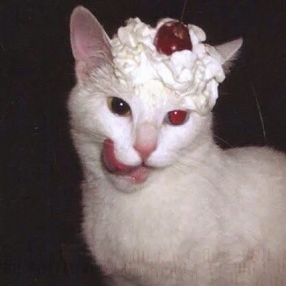 anberk Avatar