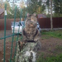 Sergey Zhitskov Avatar