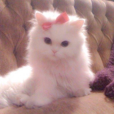 Елена Петрунина Avatar