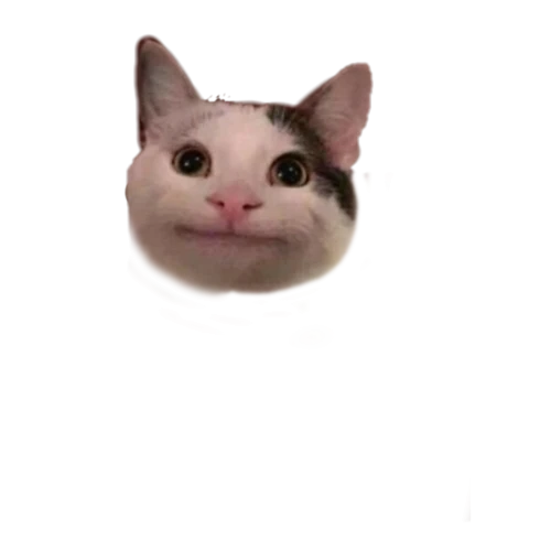 zamllla Avatar