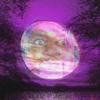 Pluk Avatar