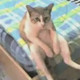 Admin090 Avatar