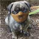 DunkX Avatar
