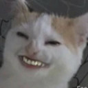 KrolevarBP Avatar