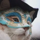 Ravellify Avatar