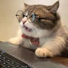 Wanfogai Avatar