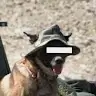 Hahahehetov Avatar