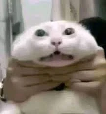 marmosi Avatar