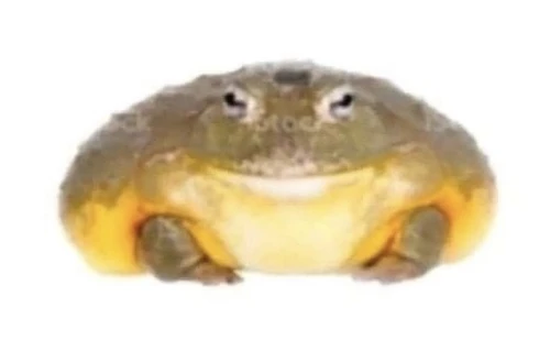 SnoopFrogg Avatar