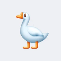 lxnvl Avatar