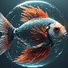 Koi Fish Avatar