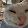 Sogrev Avatar