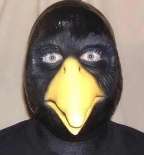 notpxrple Avatar