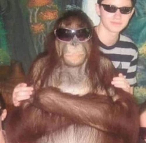 romafonn Avatar