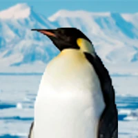 jiuhuirghyfrthihu Avatar
