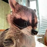 Archie_2 Avatar