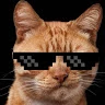 dimjer Avatar