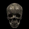 UMRI 666 Avatar