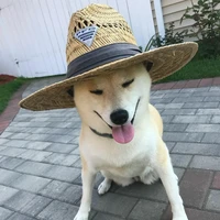 beerwinner Avatar