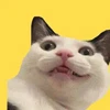 Ollri Avatar