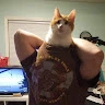 coded Avatar