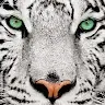 StasBars Avatar