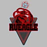 RuEaglesTeam Avatar