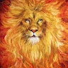Maxim Namak Avatar