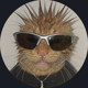 h3t0p Avatar