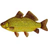 Kararasik Avatar