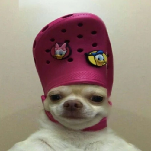 Саша1 Avatar