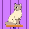 Pavitra Avatar