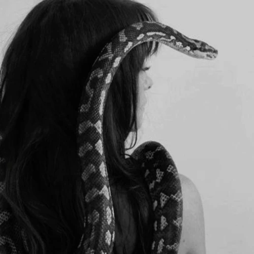 nstyaeen Avatar
