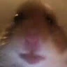DETROID Avatar