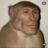 MiRAX Avatar