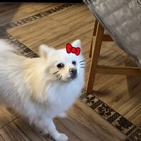 лиза федорова Avatar