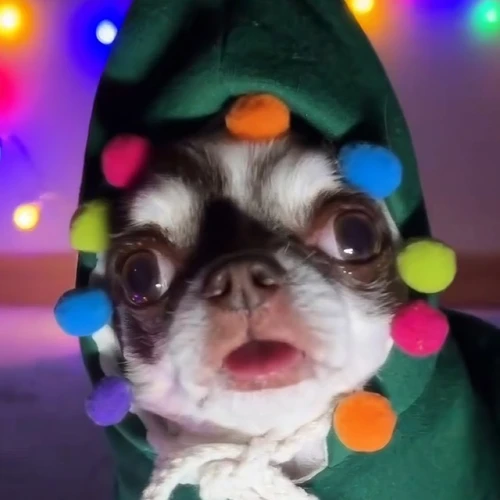 KlopikValentin Avatar