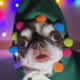KlopikValentin Avatar