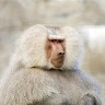 Yury Shoydin Avatar