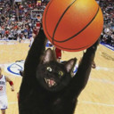VladimirBychkov Avatar