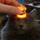 Владимир Ожерельев Avatar