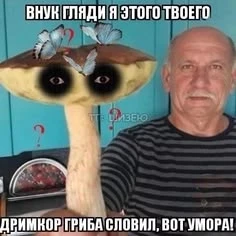 h1rd Avatar