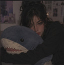 HoneyShark Avatar