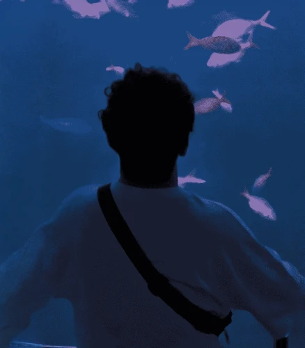 SviliYuTop Avatar