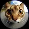 Дмитрий Прикходько Avatar