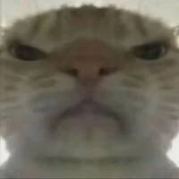 Рома Пикулев Avatar