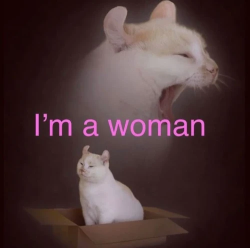 ashole4ka Avatar