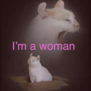 ashole4ka Avatar