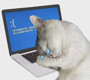 trevozhnayamassa Avatar